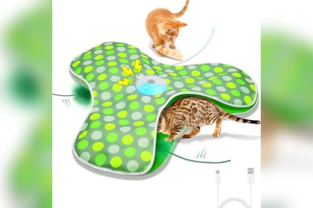 Best Interactive Cat Toys When Home Alone