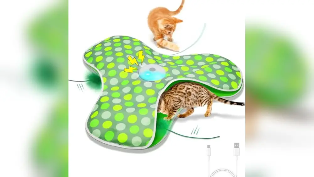 Best Interactive Cat Toys When Home Alone