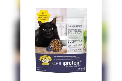 Best Low Carb Dry Cat Food for Diabetic Cats