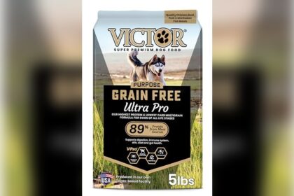Best Low Carb High Protein Dog Food