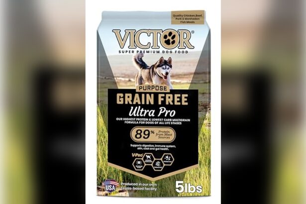 Best Low Carb High Protein Dog Food