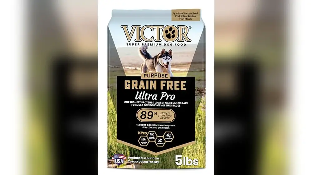 Best Low Carb High Protein Dog Food