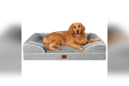Best Orthopedic Dog Bed for Large Dogs