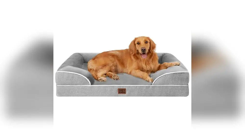 Best Orthopedic Dog Bed for Large Dogs