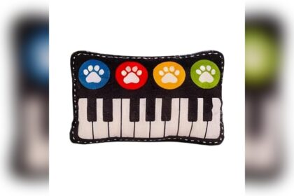 Best Pet Accessories for Small Apartments