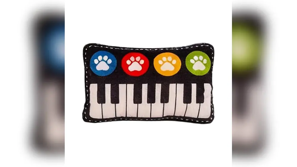 Best Pet Accessories for Small Apartments