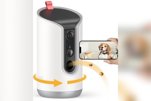 Best Pet Camera With Treat Dispenser for Dogs