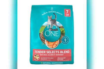 Best Premium Cat Food Brands