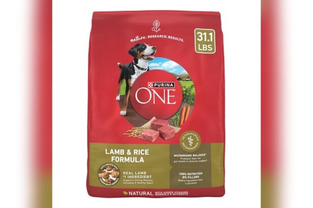 Best Rice And Lamb Dog Food