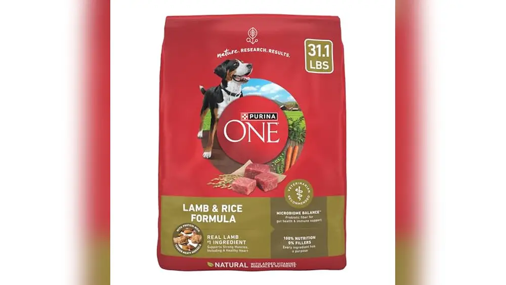 Best Rice And Lamb Dog Food