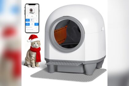 Best Self Cleaning Litter Box Automatic