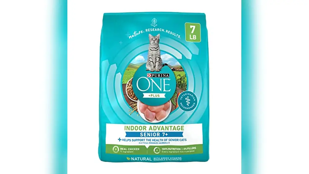 Best Senior Cat Dry Food