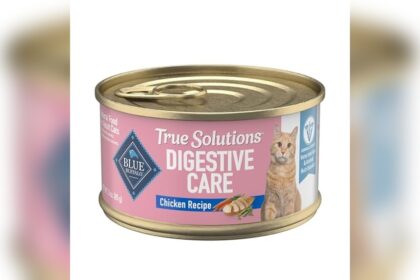 Best Sensitive Stomach Wet Cat Food