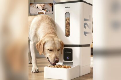 Best Smart Pet Feeder for Dogs App Controlled