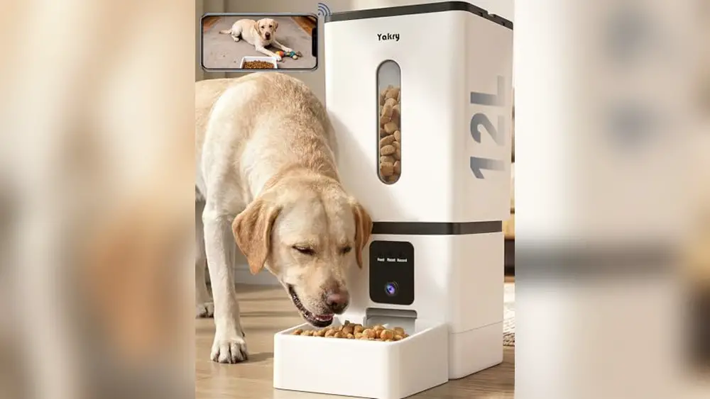 Best Smart Pet Feeder for Dogs App Controlled