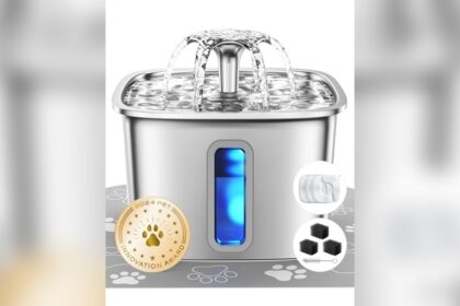 Best Stainless Steel Cat Water Fountain Quiet