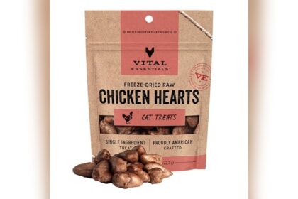 Best Toppers for Cat Food