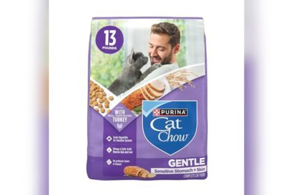 Best Turkey Dry Cat Food