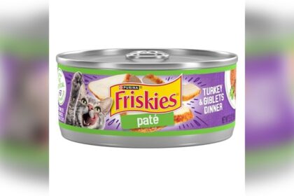 Best Turkey Wet Cat Food for My Pet