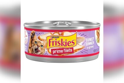 Best Turkey Wet Cat Food for My Pet