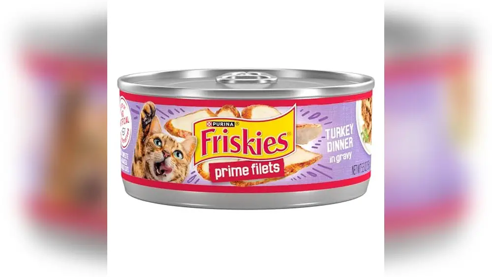 Best Turkey Wet Cat Food for My Pet