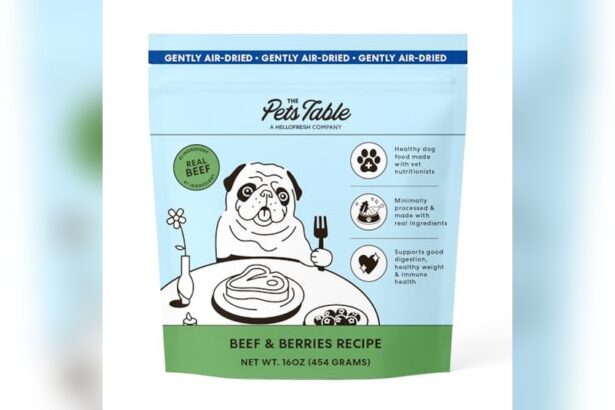 Best Unkibble Dog Food