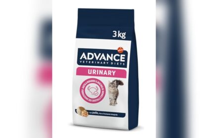 Best Urinary Tract Dry Cat Food
