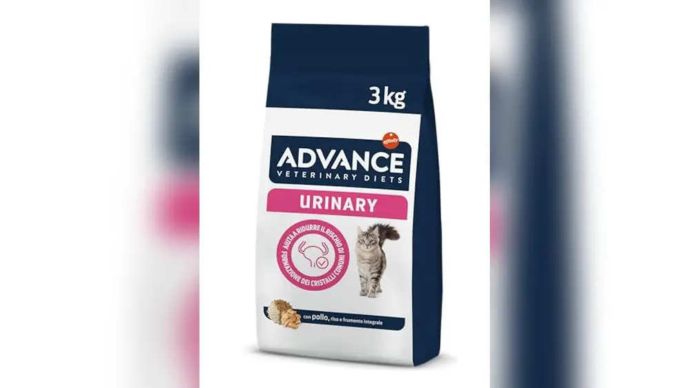 Best Urinary Tract Dry Cat Food