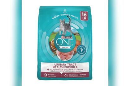 Best Urinary Tract Health Cat Food