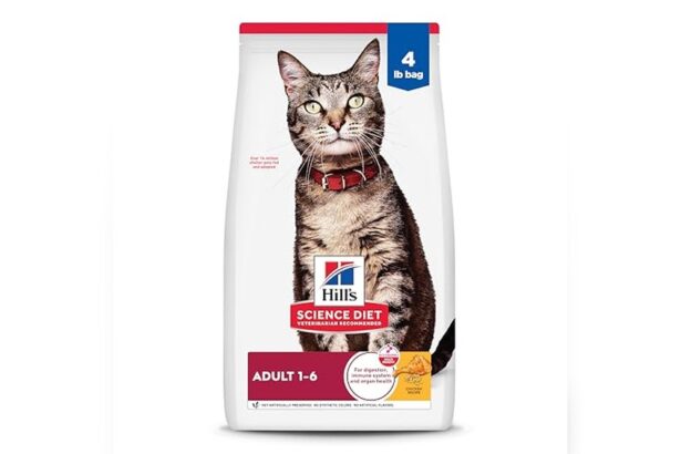 Best Vet Recommended Cat Food