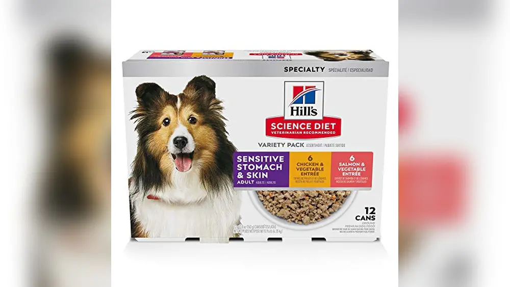 Best Wet Dog Food for Skin Allergies