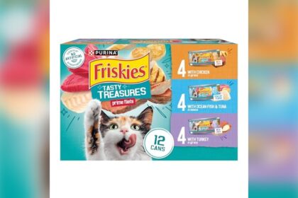 Best Wet Food for Cats