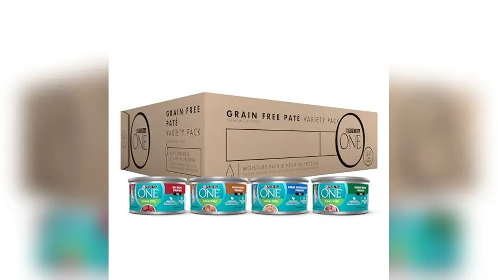 Best Wet Food for Diabetic Cats