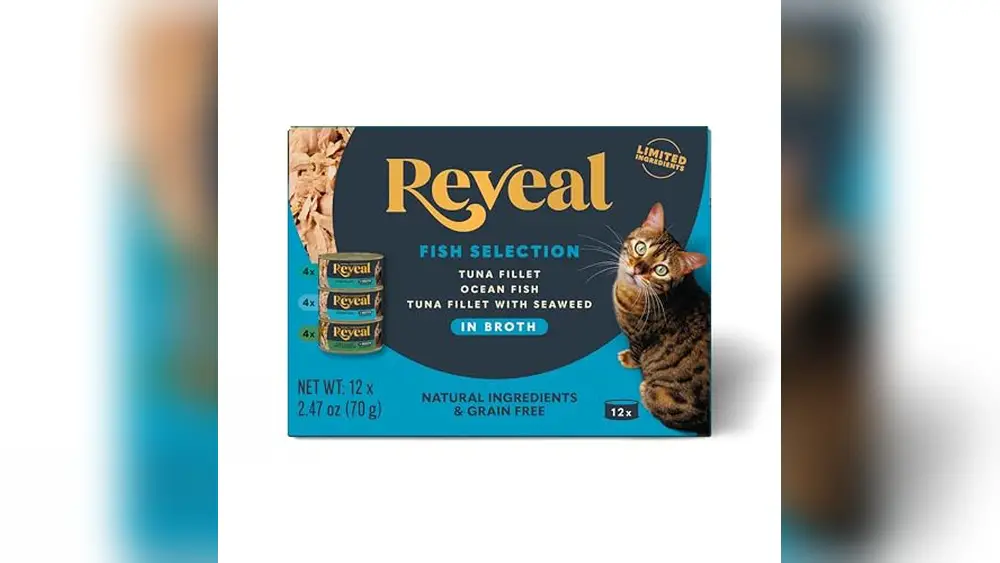 Best Wet Food for Sphynx Cats