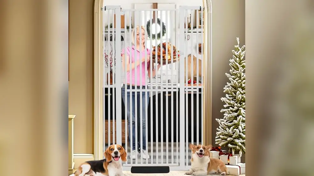 Extra Tall Wide Pet Gate Buying Guide 2026: Top Picks Reviewed