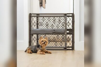 Pressure Pet Gate