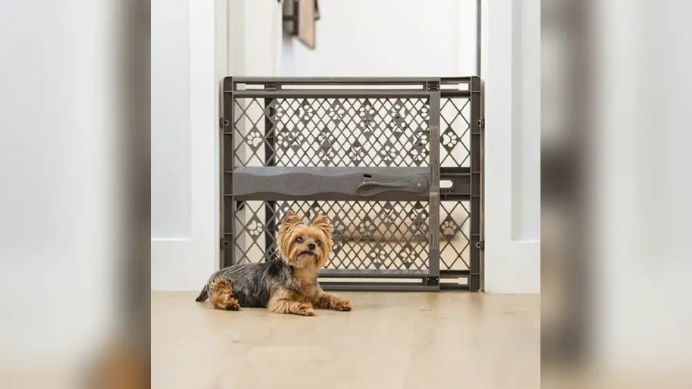 Pressure Pet Gate