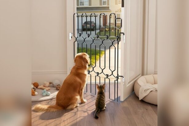 Retractable Pet Gate for Front Door