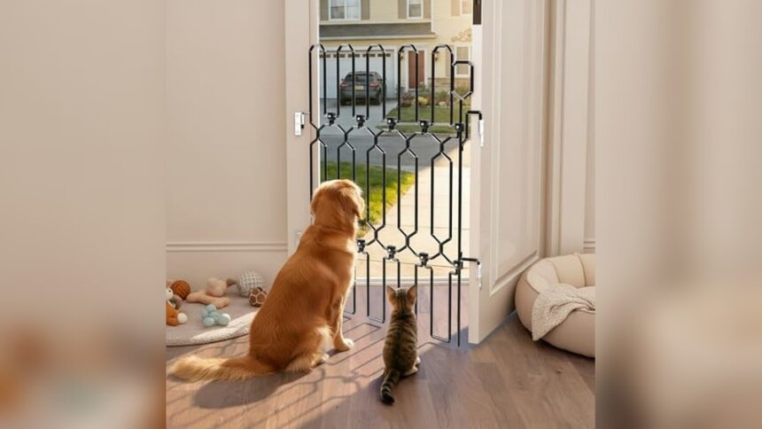 Retractable Pet Gate for Front Door