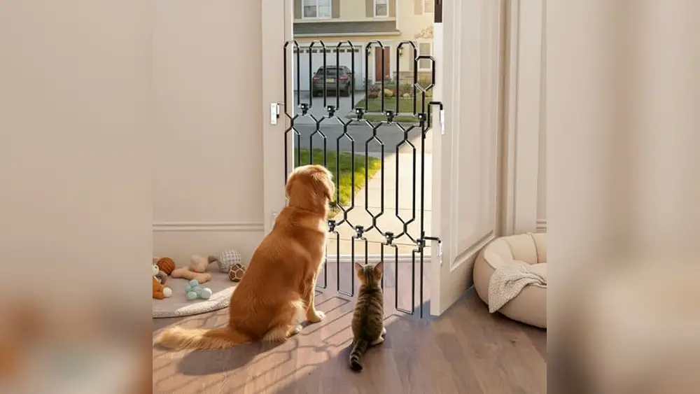 Retractable Pet Gate for Front Door