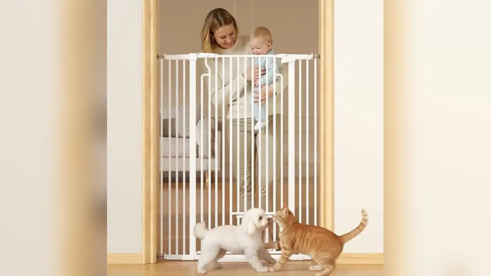 Tall pet gate with cat door buying guide