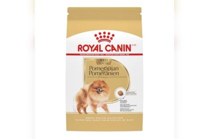 The Best Dog Food for Pomeranians