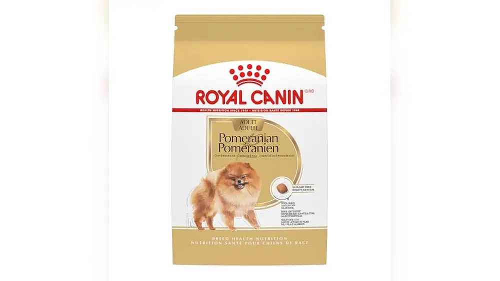 The Best Dog Food for Pomeranians