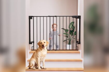 Wall Mount Pet Gate