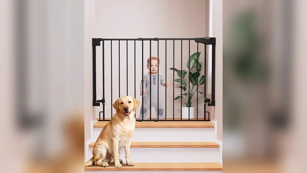 Wall Mount Pet Gate
