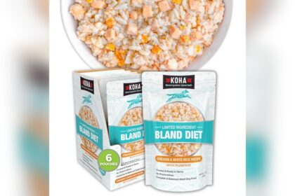 What is the Best Food for a Dog With Diarrhea