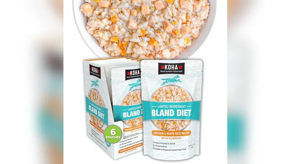 What is the Best Food for a Dog With Diarrhea