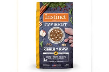 What is the Best Raw Cat Food
