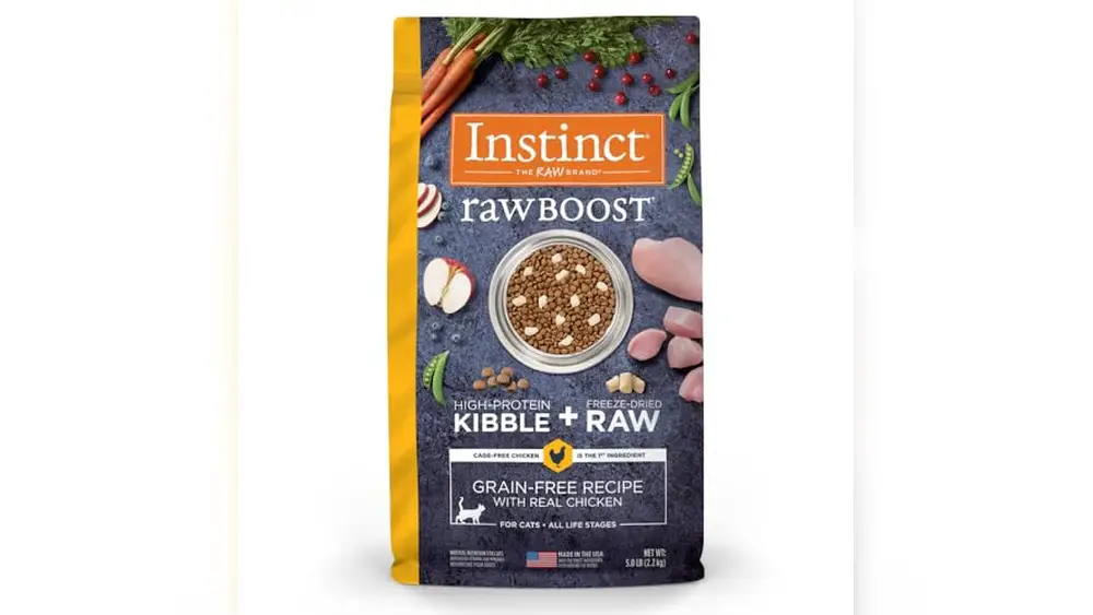 What is the Best Raw Cat Food