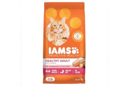 What'S the Best Salmon Based Cat Food